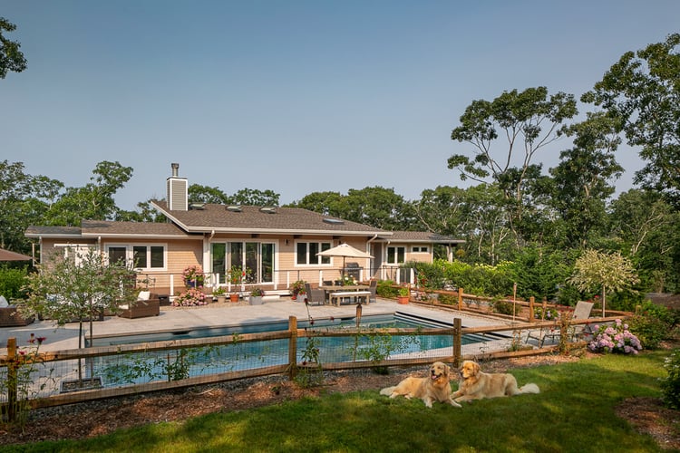 Truro Treehouse by Acorn Deck House Company is a modern farmhouse on Cape Cod. This photo shows two golden retrievers relaxing in the backyard overlooking the in-ground pool and lush gardens.