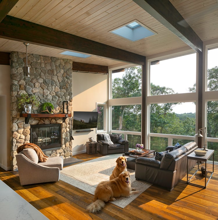 Truro Treehouse by Acorn Deck House Company is a modern farmhouse on Cape Cod. This photo shows two golden retrievers relaxing in the afternoon sun, which is streaming into the floor-to-ceiling living room windows. The room features exposed post-and-beam construction and large stone fireplace.